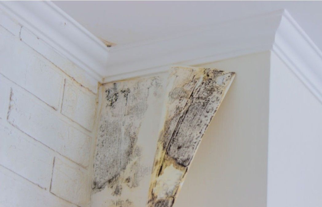 Residential water damage restoration in progress by a restoration company with commercial restoration company expertise showing water damage removal