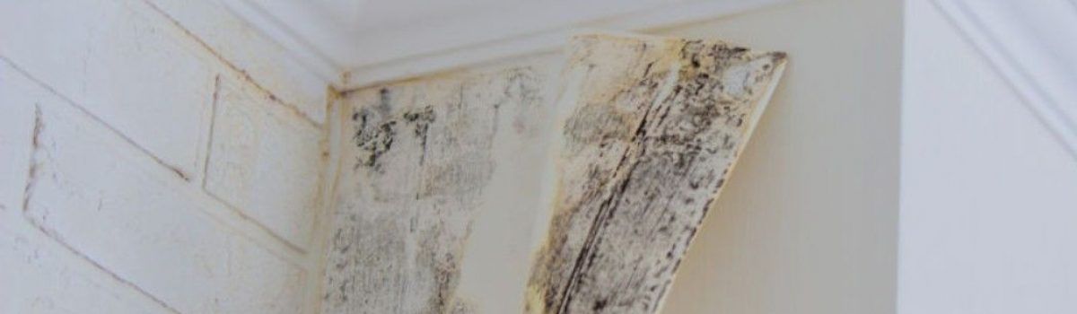 Residential water damage restoration in progress by a restoration company with commercial restoration company expertise showing water damage removal